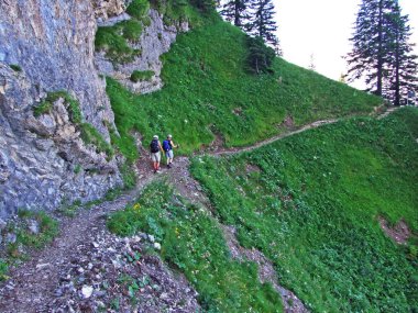 Taşlar ve kayalar Alpstein dağ silsilesi - St. Gallen Kanton ve Appenzell Innerrhoden, İsviçre