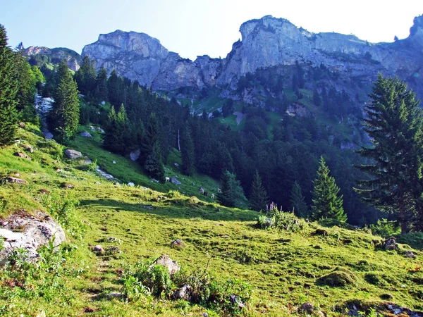 Taşlar Kayalar Alpstein Dağ Silsilesi Gallen Kanton Appenzell Innerrhoden Sviçre — Stok fotoğraf