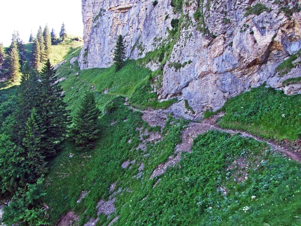 Kövek Sziklák Alpstein Hegység Gallen Kanton Appenzell Innerrhoden Svájc — Stock Fotó