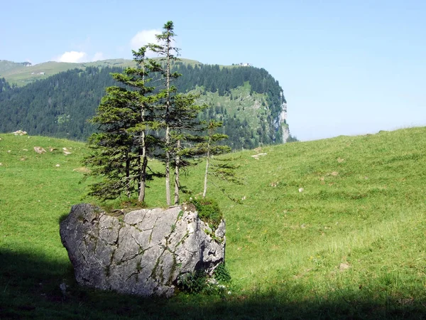 Pedras Rochas Cordilheira Alpstein Cantões Gallen Appenzell Innerrhoden Suíça — Fotografia de Stock