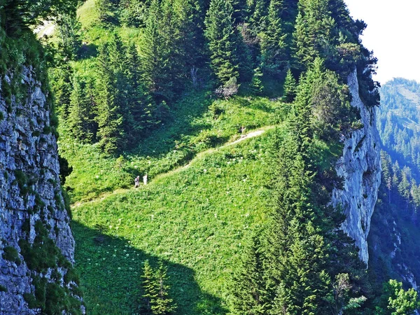 Taşlar Kayalar Alpstein Dağ Silsilesi Gallen Kanton Appenzell Innerrhoden Sviçre — Stok fotoğraf