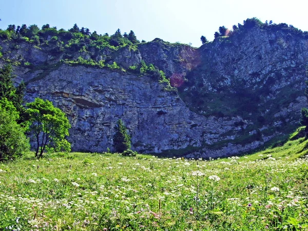 Камені Скелі Alpstein Гірського Хребта Кантони Санкт Галлен Аппенцелль Innerrhoden — стокове фото