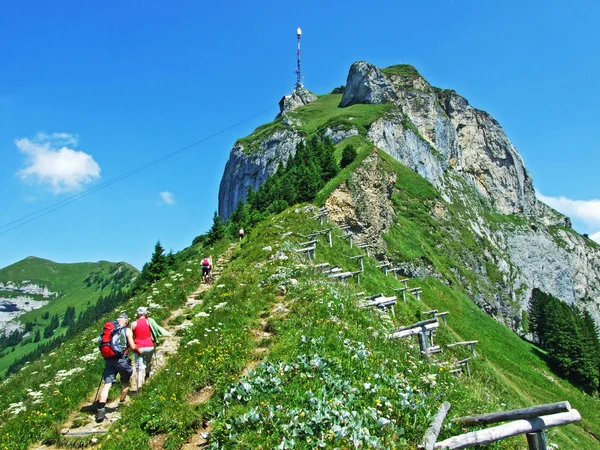 Alpesi Csúcs Hoher Kasten Hegység Alpstein Appenzellerland Régió Gallen Kanton — Stock Fotó