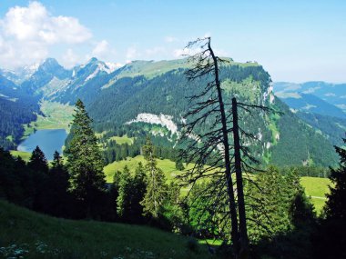 Alp Gölü Samtisersee dağ aralığı Alpstein ve Appenzellerland bölge - Appenzell Innerrhoden Canton, İsviçre