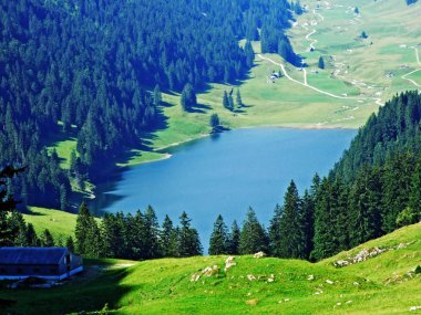 Alp Gölü Samtisersee dağ aralığı Alpstein ve Appenzellerland bölge - Appenzell Innerrhoden Canton, İsviçre