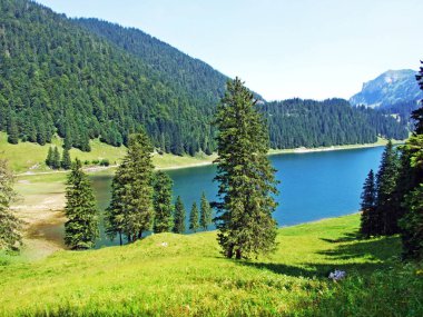 Alp Gölü Samtisersee dağ aralığı Alpstein ve Appenzellerland bölge - Appenzell Innerrhoden Canton, İsviçre