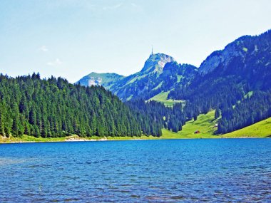 Alp Gölü Samtisersee dağ aralığı Alpstein ve Appenzellerland bölge - Appenzell Innerrhoden Canton, İsviçre