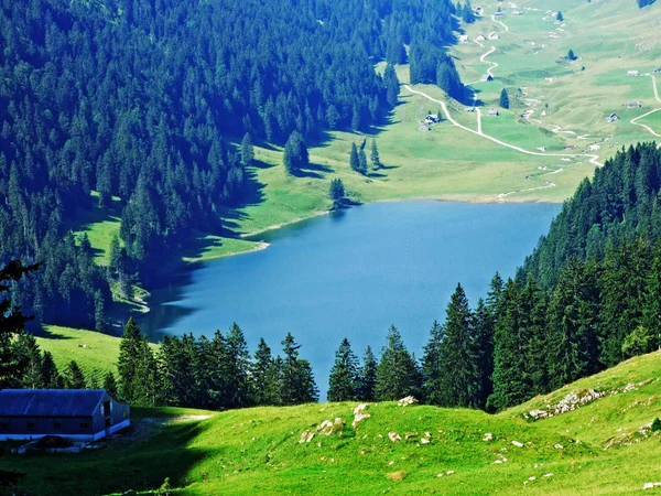Alpejskie Jezioro Samtisersee Paśmie Górskim Alpstein Regionu Appenzellerland Kanton Appenzell — Zdjęcie stockowe