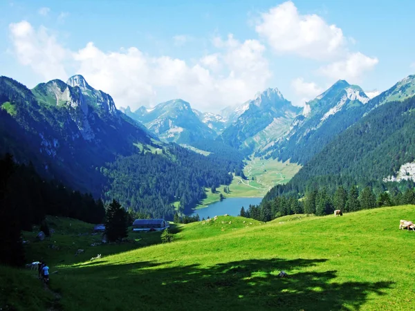 Alpine Lake Samtisersee Mountain Range Alpstein Appenzellerland Region Кантон Аппенцелль — стоковое фото