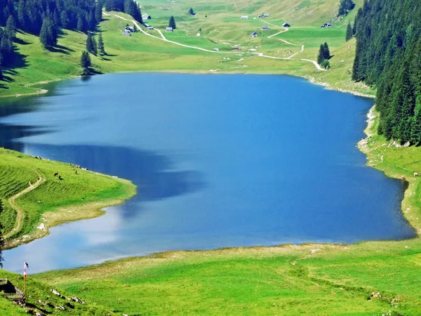 Alpské Jezero Samtisersee Pohoří Alpstein Regionu Appenzellerland Kanton Appenzell Innerrhoden — Stock fotografie