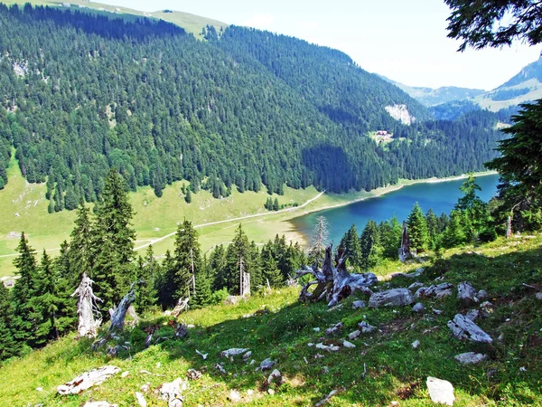 Lago Alpino Samtisersee Cordilheira Alpstein Região Appenzellerland Cantão Appenzell Innerrhoden — Fotografia de Stock