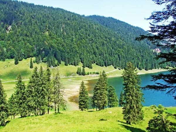 Alpine lake Samtisersee in mountain range Alpstein and the Appenzellerland region - Canton of Appenzell Innerrhoden, Switzerland