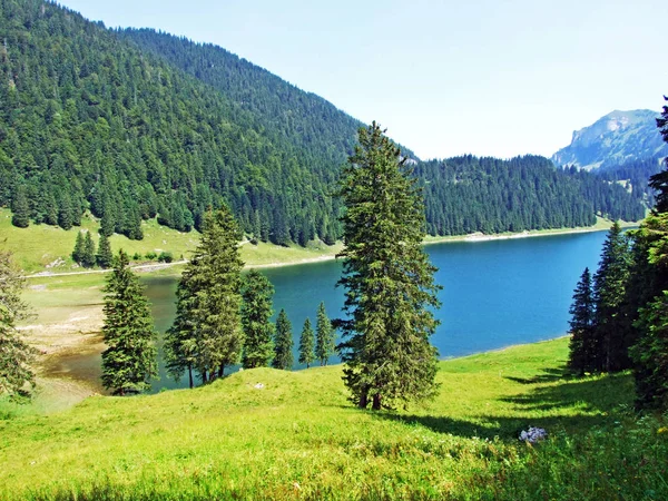 Lago Alpino Samtisersee Cordilheira Alpstein Região Appenzellerland Cantão Appenzell Innerrhoden — Fotografia de Stock