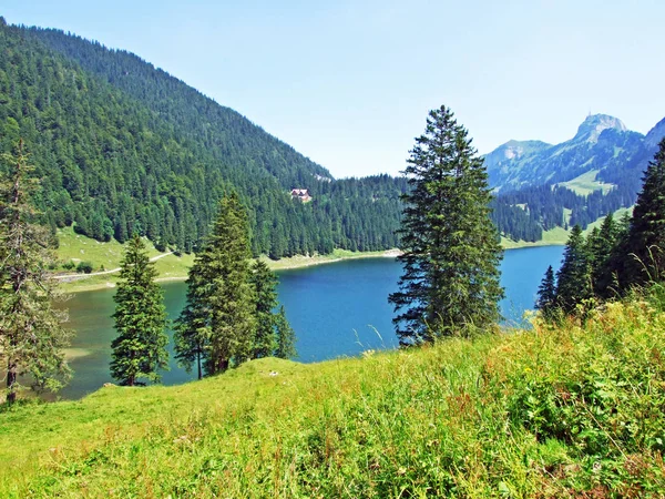 Lago Alpino Samtisersee Nella Catena Montuosa Alpstein Nella Regione Appenzellerland — Foto Stock