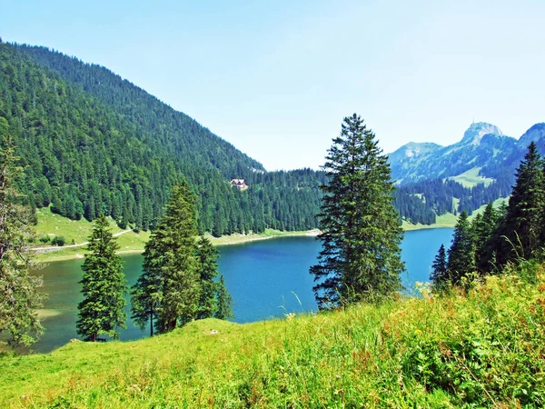 Alp Gölü Samtisersee dağ aralığı Alpstein ve Appenzellerland bölge - Appenzell Innerrhoden Canton, İsviçre