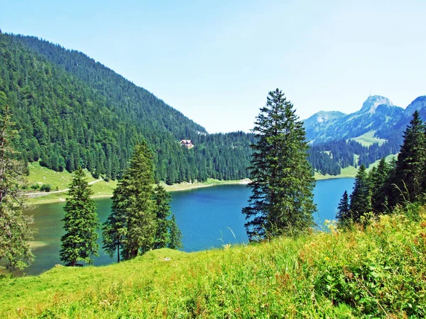 Lac Alpin Samtisersee Dans Chaîne Montagnes Alpstein Région Appenzellerland Canton — Photo