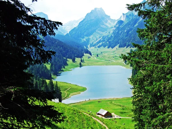 Alp Gölü Samtisersee dağ aralığı Alpstein ve Appenzellerland bölge - Appenzell Innerrhoden Canton, İsviçre