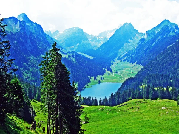 Lago Alpino Samtisersee Cordilheira Alpstein Região Appenzellerland Cantão Appenzell Innerrhoden — Fotografia de Stock