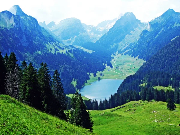 Alpejskie Jezioro Samtisersee Paśmie Górskim Alpstein Regionu Appenzellerland Kanton Appenzell — Zdjęcie stockowe