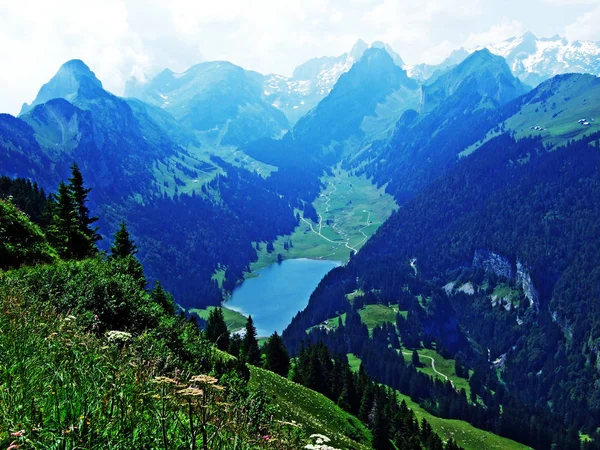 Lac Alpin Samtisersee Dans Chaîne Montagnes Alpstein Région Appenzellerland Canton — Photo