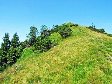 Dağ tepe Kamor Trestenkopf Alpstein Sıradağları ve Appenzellerland bölge - Appenzell Innerrhoden Canton, İsviçre