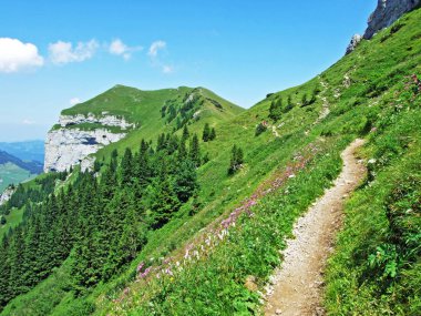 Dağ tepe Kamor Trestenkopf Alpstein Sıradağları ve Appenzellerland bölge - Appenzell Innerrhoden Canton, İsviçre