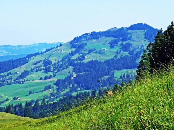 Cable Car Brulisau Hoher Kasten Luftseilbahn Brulisau Hoher Kasten Bergbahn — 스톡 사진