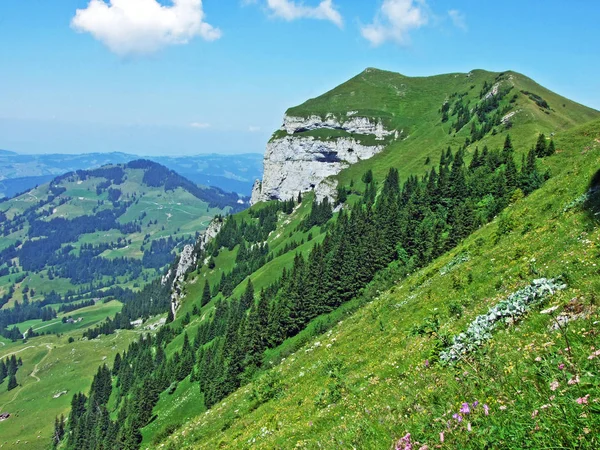 Alpesi Csúcs Kamor Trestenkopf Alpstein Hegység Appenzellerland Régió Canton Appenzell — Stock Fotó
