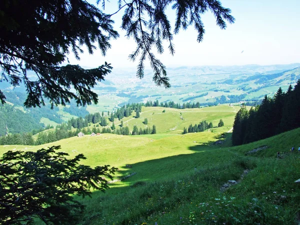 Pohled Vesnici Schwende Brulisau Alpské Vrcholy Hoher Kasten Kamor Trestenkopf — Stock fotografie