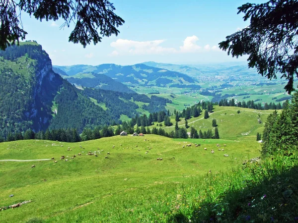 Vista Aldeia Schwende Brulisau Dos Picos Alpinos Hoher Kasten Kamor — Fotografia de Stock