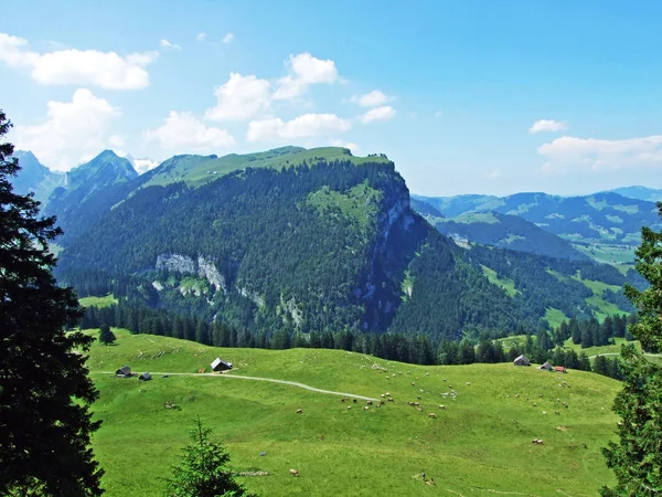 Tepe ve Plato Alp Sigel dağ Alpsten -: Appenzell Innerrhoden Canton, İsviçre