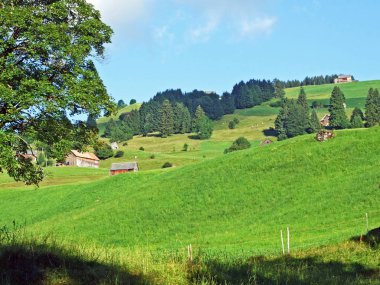 Kırsal geleneksel mimarisi ve hayvan çiftlikleri Alviergruppe yamaçlarında Rhine Vadisi - Canton St. Gallen, İsviçre
