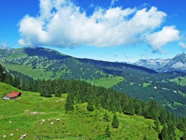 Kırsal geleneksel mimarisi ve hayvan çiftlikleri Alviergruppe yamaçlarında Rhine Vadisi - Canton St. Gallen, İsviçre