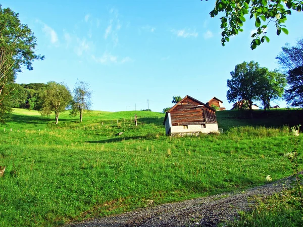 Ländliche Traditionelle Architektur Und Viehwirtschaft Den Hängen Der Alviergruppe Und — Stockfoto