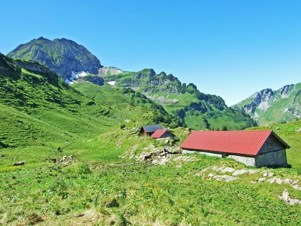 ライン渓谷 ザンクト ガレンのカントン スイス連邦共和国 Alviergruppe の斜面に農村部の伝統的なアーキテクチャと畜産農場 — ストック写真