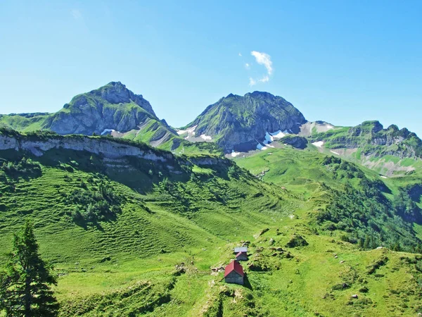 Kırsal Geleneksel Mimarisi Hayvan Çiftlikleri Alviergruppe Yamaçlarında Rhine Vadisi Canton — Stok fotoğraf