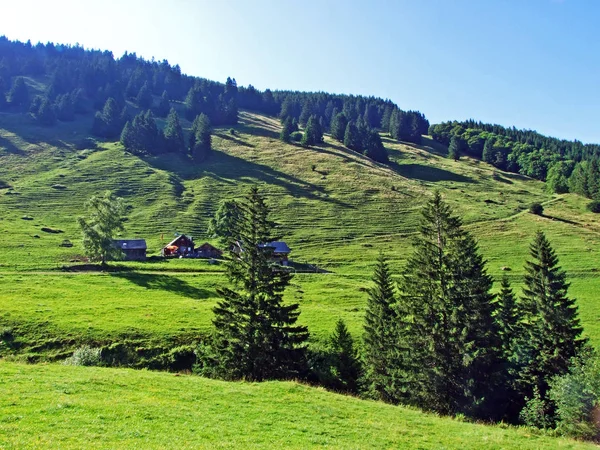 Ländliche Traditionelle Architektur Und Viehwirtschaft Den Hängen Der Alviergruppe Und — Stockfoto