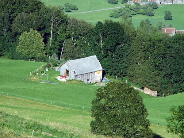 Tradycyjnych Wiejskich Gospodarstw Architektury Zwierząt Gospodarskich Stoku Alviergruppe Rhine Valley — Zdjęcie stockowe