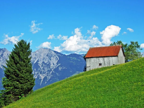 Architecture Rurale Traditionnelle Élevages Sur Les Pentes Alviergruppe Dans Vallée — Photo