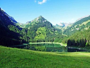 Alp Gölü Voralpsee yukarıda kapmak Köyü Rhine Vadisi - Canton St. Gallen, İsviçre