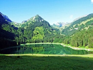 Alp Gölü Voralpsee yukarıda kapmak Köyü Rhine Vadisi - Canton St. Gallen, İsviçre
