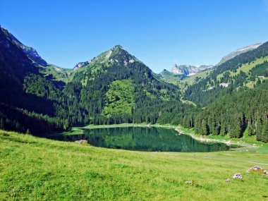 Alp Gölü Voralpsee yukarıda kapmak Köyü Rhine Vadisi - Canton St. Gallen, İsviçre