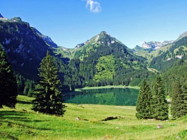 Alp Gölü Voralpsee yukarıda kapmak Köyü Rhine Vadisi - Canton St. Gallen, İsviçre