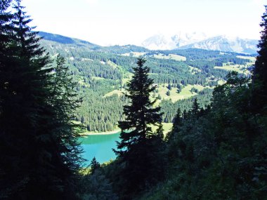 Alp Gölü Voralpsee yukarıda kapmak Köyü Rhine Vadisi - Canton St. Gallen, İsviçre