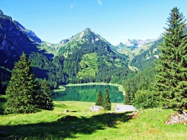 Alp Gölü Voralpsee yukarıda kapmak Köyü Rhine Vadisi - Canton St. Gallen, İsviçre