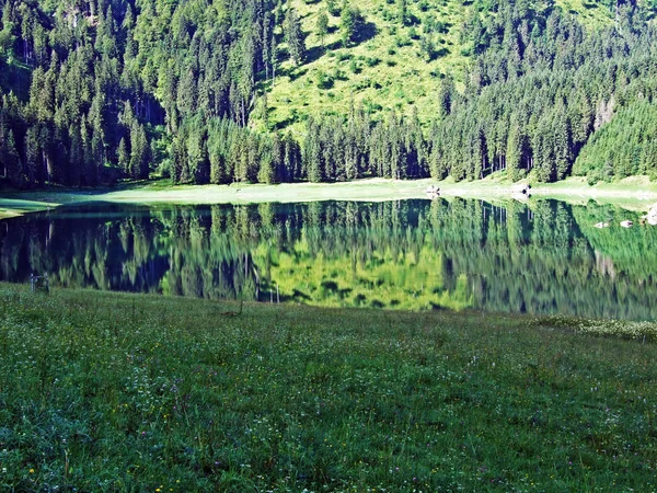 Lago Alpino Voralpsee Por Encima Aldea Grabs Valle Del Rin — Foto de Stock