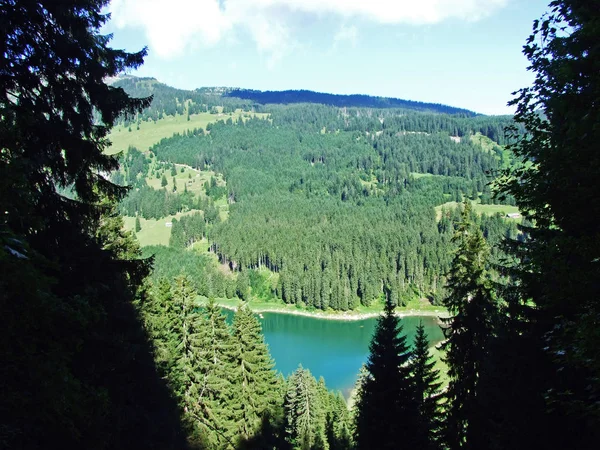 ライン渓谷 ザンクト ガレンのカントン スイス連邦共和国でグラブ村上高山の湖 Voralpsee — ストック写真