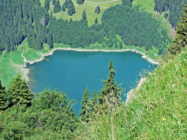位于莱茵河谷 Rine Valen 的渡过村上方的 Alpine Lake Voralpsee 瑞士圣加仑州 — 图库照片