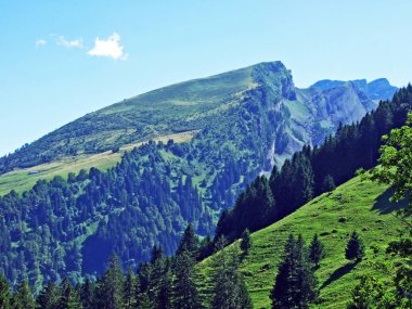 Ağaçlar ve herdem yeşil ormanlar yamaçlarda Alviergruppe dağ ve nehir Ren Vadisi - Canton St. Gallen, İsviçre