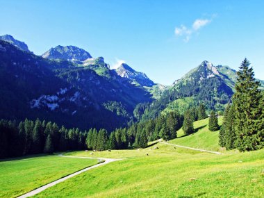 Alpine mera ve çayırlar yamaçlarda Alviergruppe dağ ve nehir Ren Vadisi - Canton St. Gallen, İsviçre